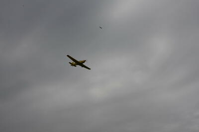 IMG 0887